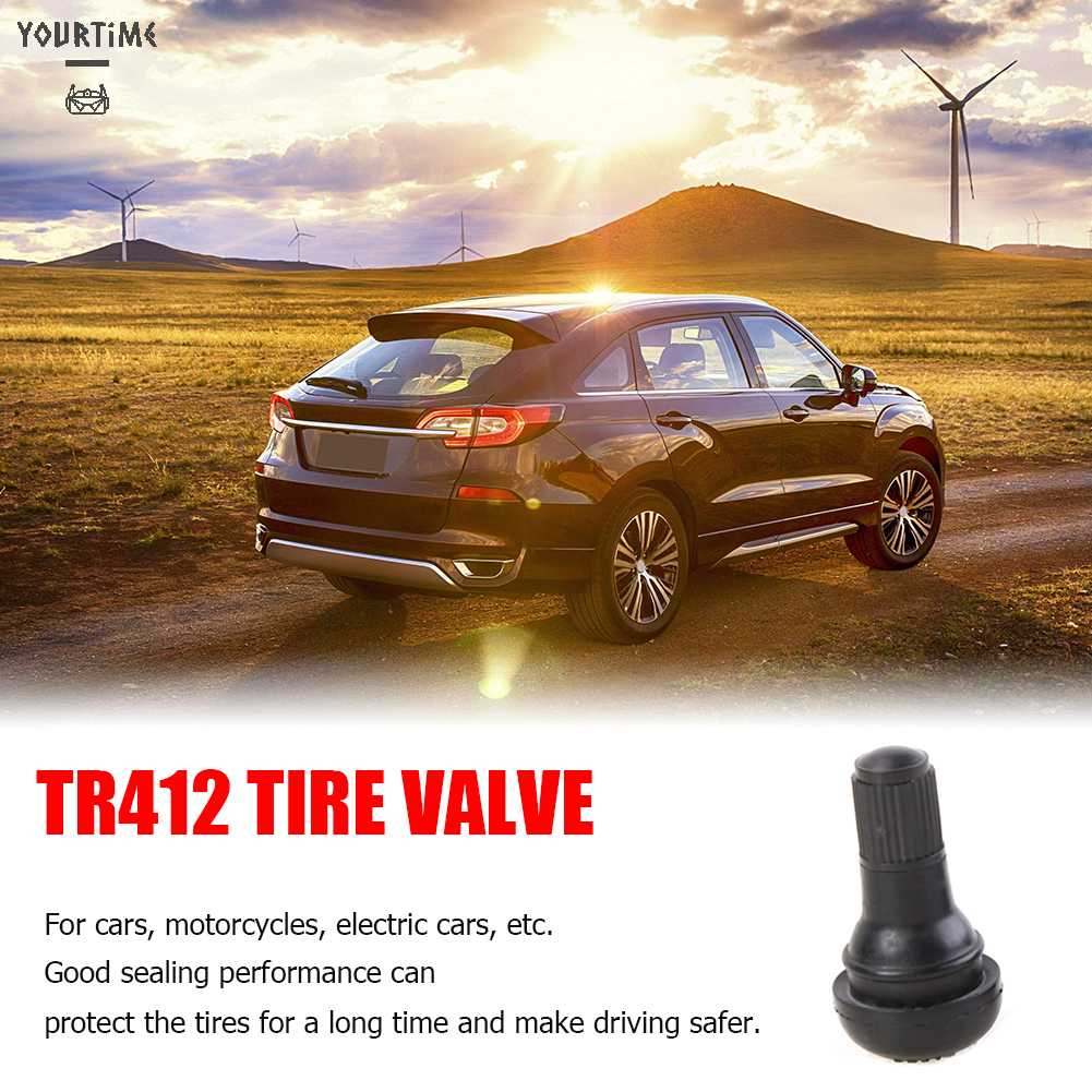 Set 100 Van Cao Su Đen TR-412 TR412 Chuyên Dụng