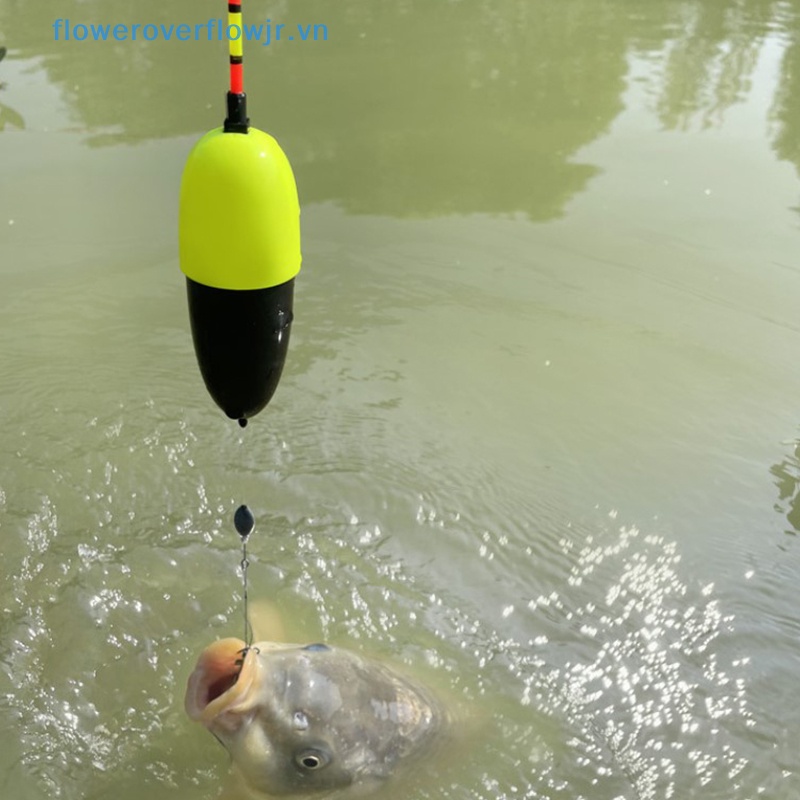 Bộ Phao Nổi Câu Cá Tự Động Dạ Quang