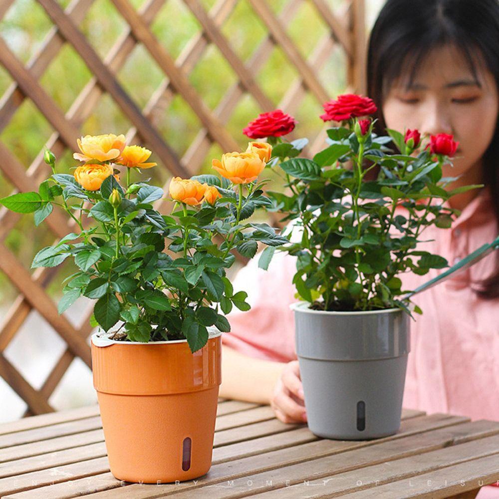 Giá Đỡ Chậu Cây Hai Tầng Hấp Thụ Nước Tự Động Nhiều Màu Sắc Có Thể Nhìn Thấy