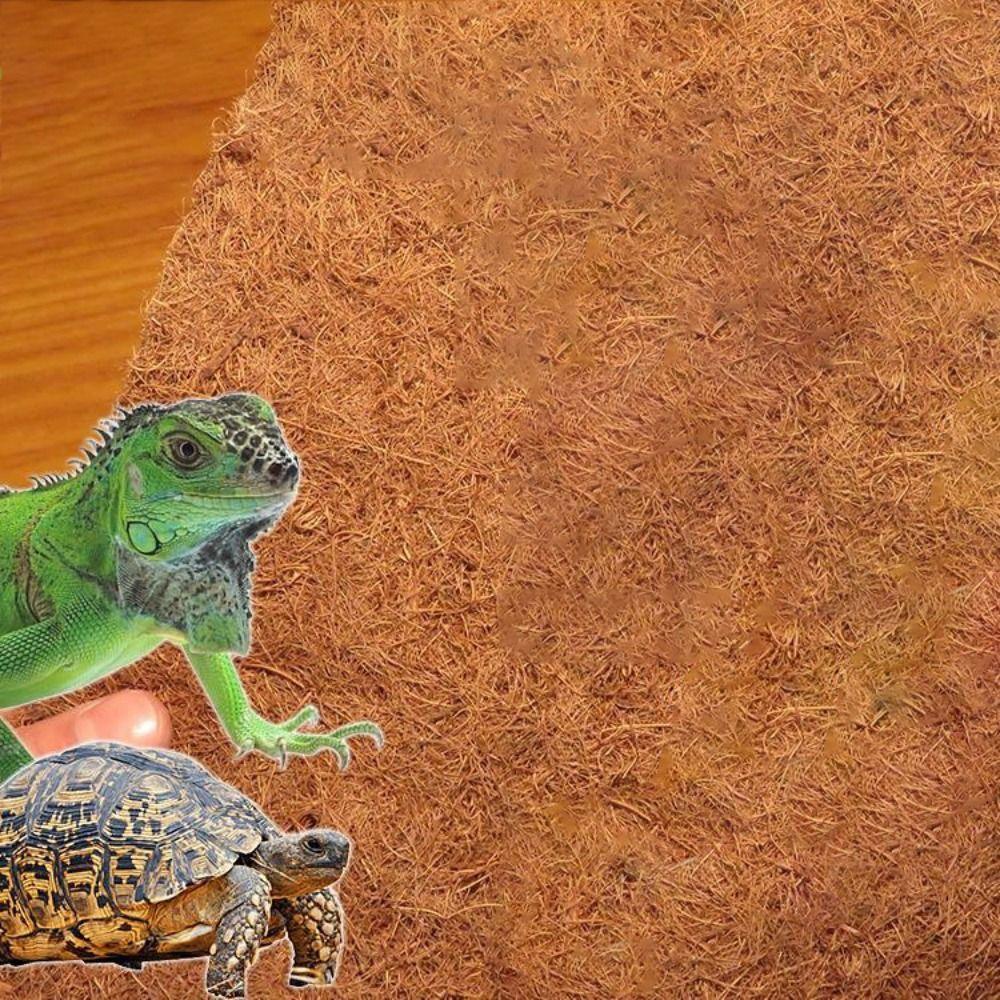 Thảm Sợi Dừa Hình Chữ Nhật Chống Trượt Đa Năng Cho Bò Sát