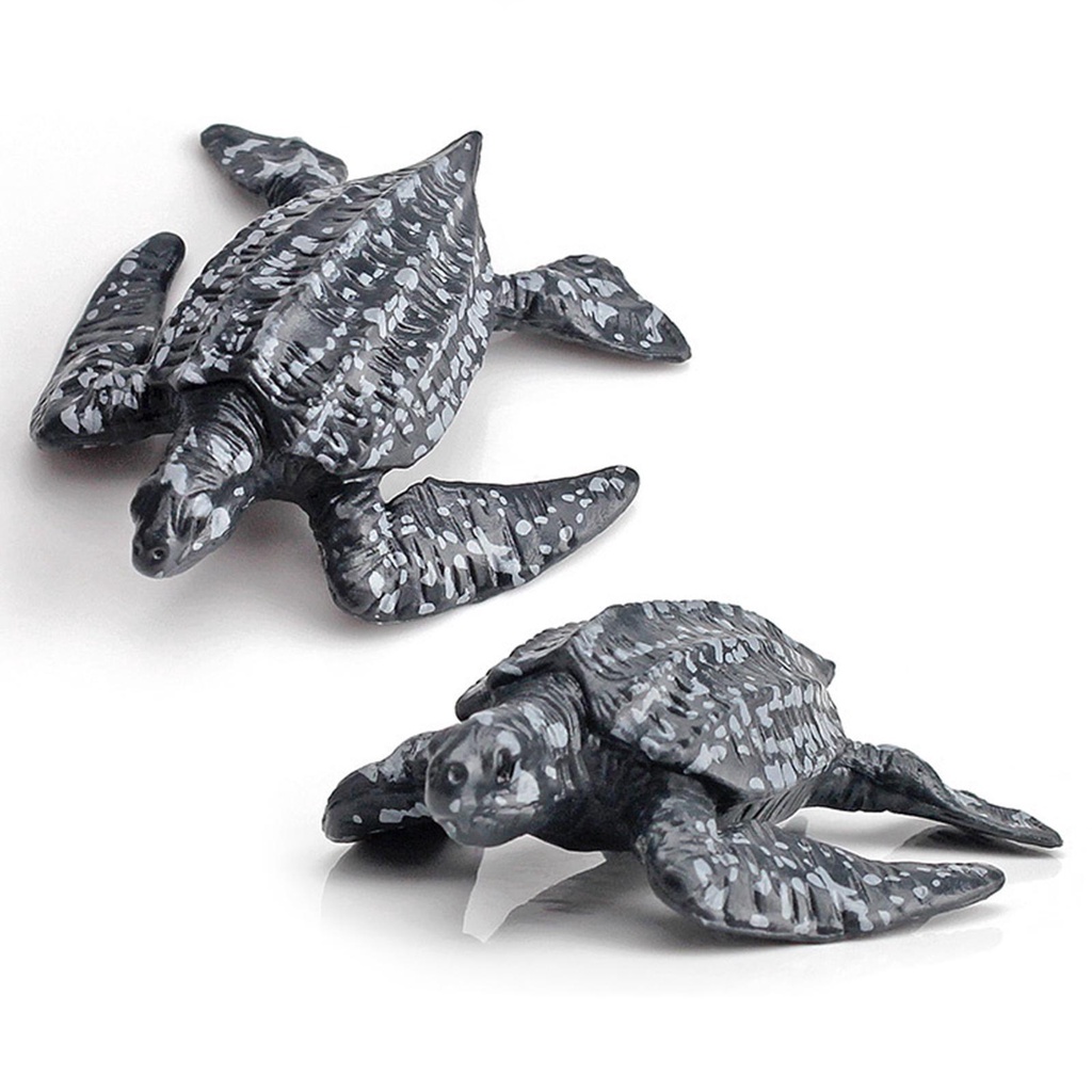 Bộ 12 Mô Hình Cá Mập Sống Động Dành Cho Bé