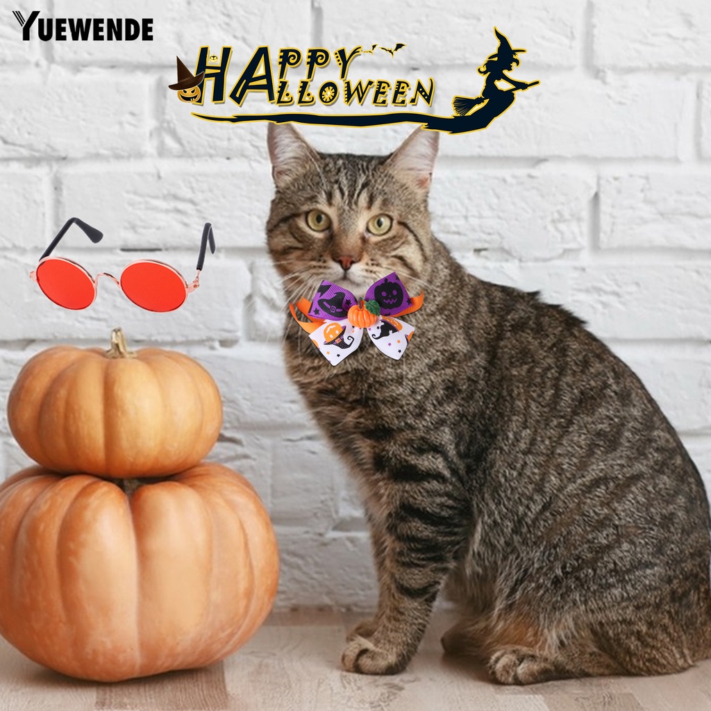 1 Bộ Áo Choàng Polyester Không Gây Kích Ứng Màu Sắc Tươi Sáng Kèm Kính Bảo Hộ Cho Thú Cưng