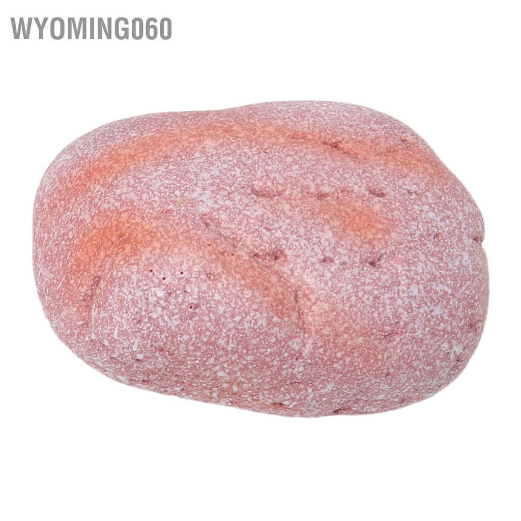 Wyoming060 5 Chiếc Bể Cá Trang Trí Đá Màu Sáng Tạo Cảnh Quan Sông Tự Nhiên Cho