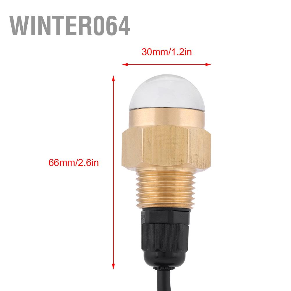 Winter064 Mềm Thuyền 12V Đồng Thủy Tinh LED Xanh Dương Dưới Nước Ánh Sáng Đèn Cống Plug1/2 &quot;NPT Du Phụ Kiện
