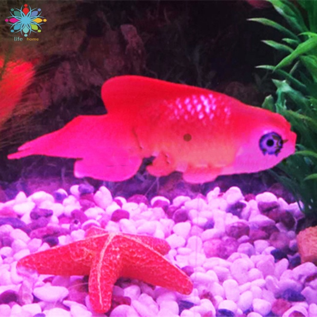 Mô Hình Cá Vàng Bằng Silicone Phát Quang Dùng Trang Trí Bể Cá