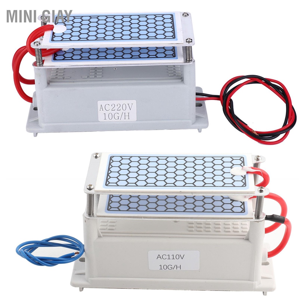 Bán nóng Tích Hợp Máy Tạo Ozone Hộ Gia Đình Không Khí Sạch Hơn Lọc Mùi 10G