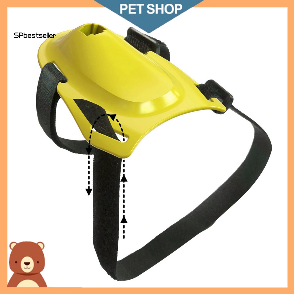 Gậy Gắn Lông Vũ Đồ Chơi Tương Tác Vui Nhộn Cho Mèo Cưng