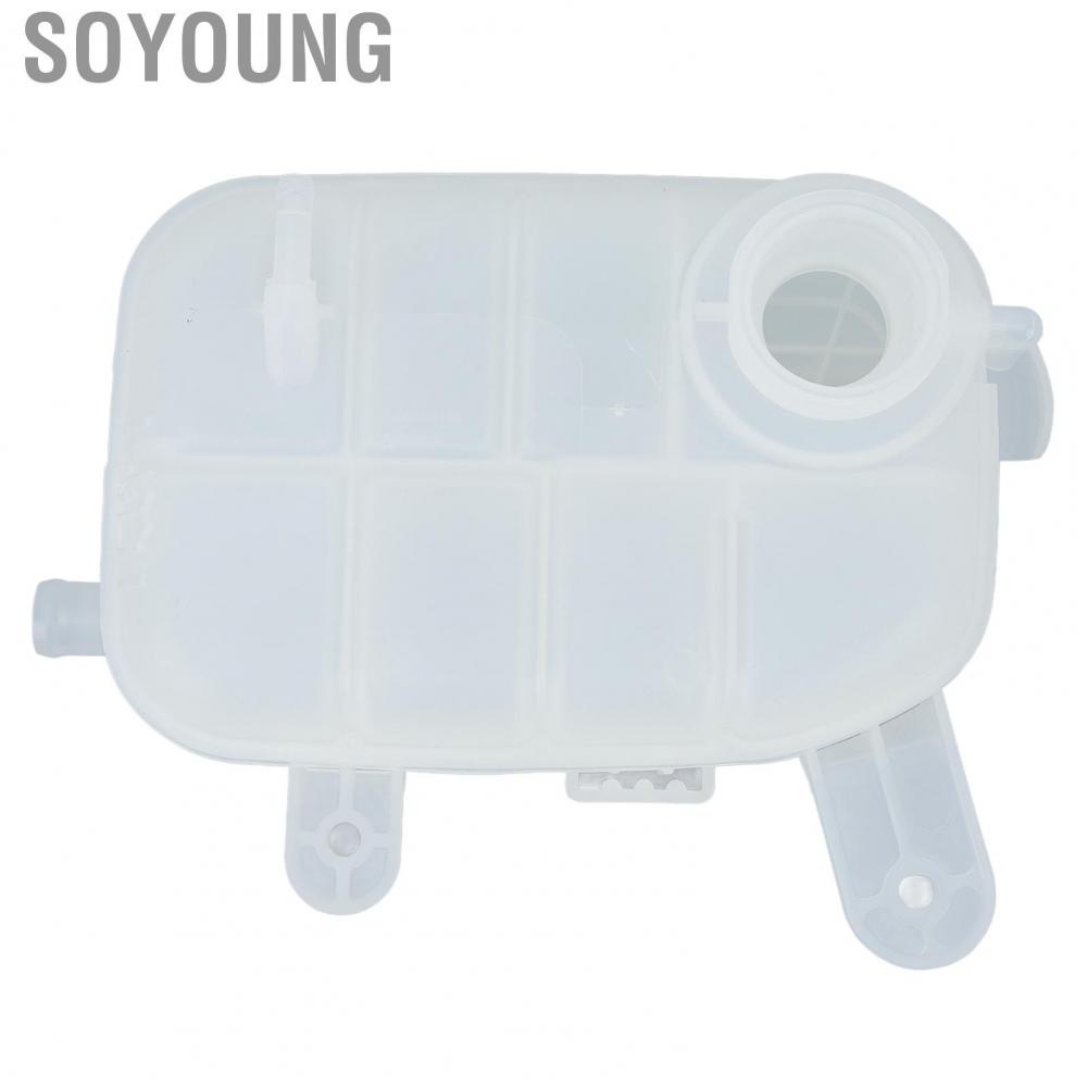 Soyoung Coolant Radiator Expansion Tank Abrasion Resistant High Temp OEM Design ABS Plastic Leak Proof 95380033 for Trax
