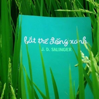 Sách Bắt Trẻ Đồng Xanh (Tái Bản)