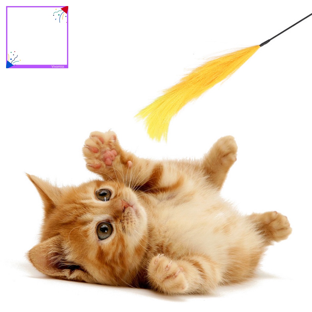 Gậy Đồ Chơi Gắn Lông Vũ Giải Tỏa Căng Thẳng Cho Mèo