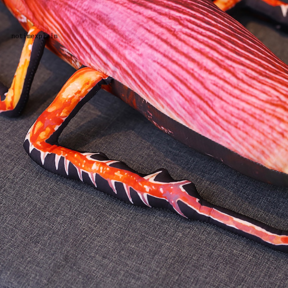 Đồ chơi nhồi bông Hình Con Gián 3D 22inch