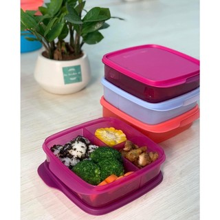 Hộp Cơm Chia Ngăn Tupperware Lolly Tup 550ml - Màu mới, hộp cơm cho bé, hộp cơm văn phòng