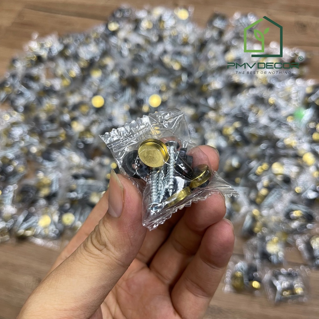 COMBO 4 CHIẾC VÍT + NẮP CHỤP VÍT INOX 304 màu vàng. Size 12mm. VC-PMV88