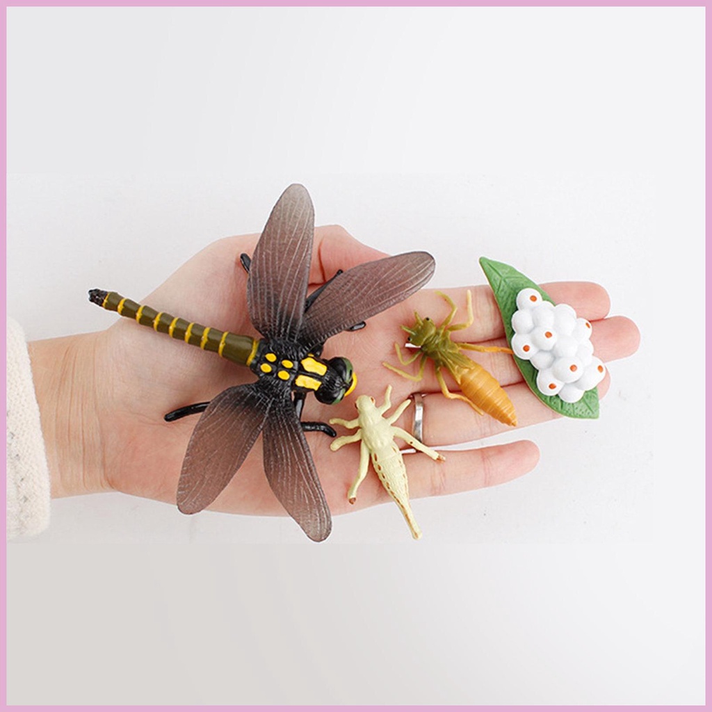 Set 12 Tượng Côn Trùng Đồ Chơi Cho Bé