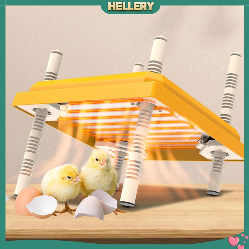 [HelleryVN] Đĩa Sưởi Ấm Chiều Cao Có Thể Điều Chỉnh Cho Gà Con