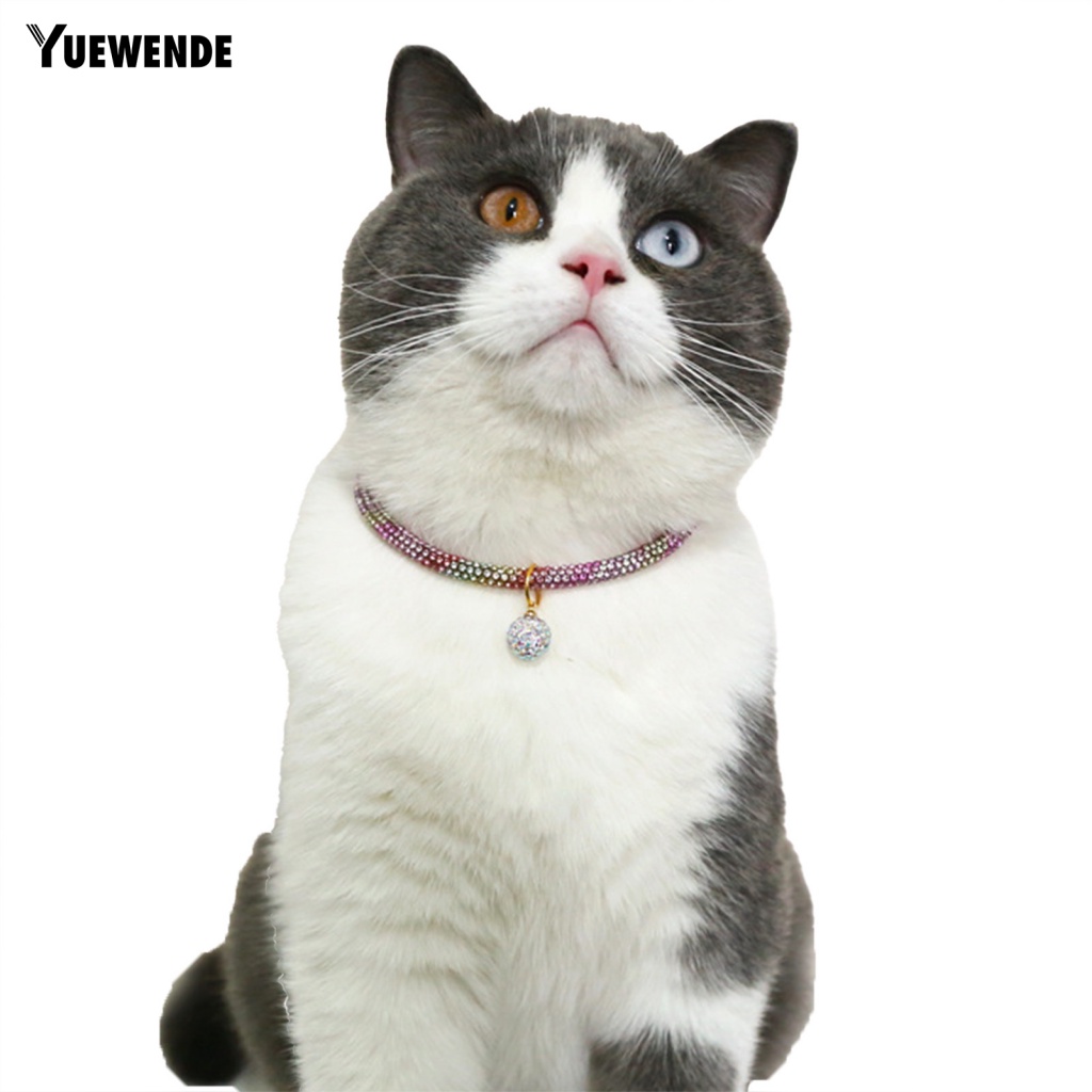 Vòng Cổ Cho Thú Cưng Chó Mèo Kèm Mặt Dây Chuyền