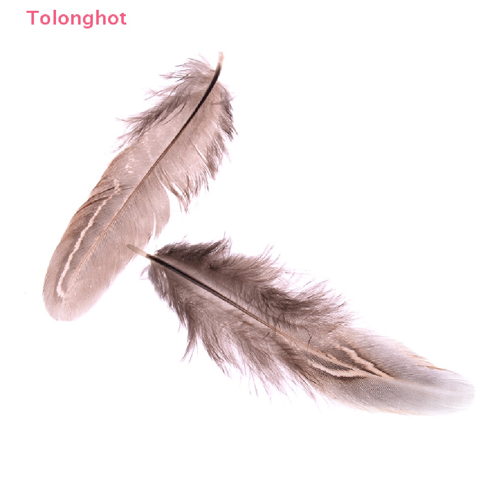 Set 50 Lông Gà 5-10cm Dùng Trang Trí Thủ Công diy