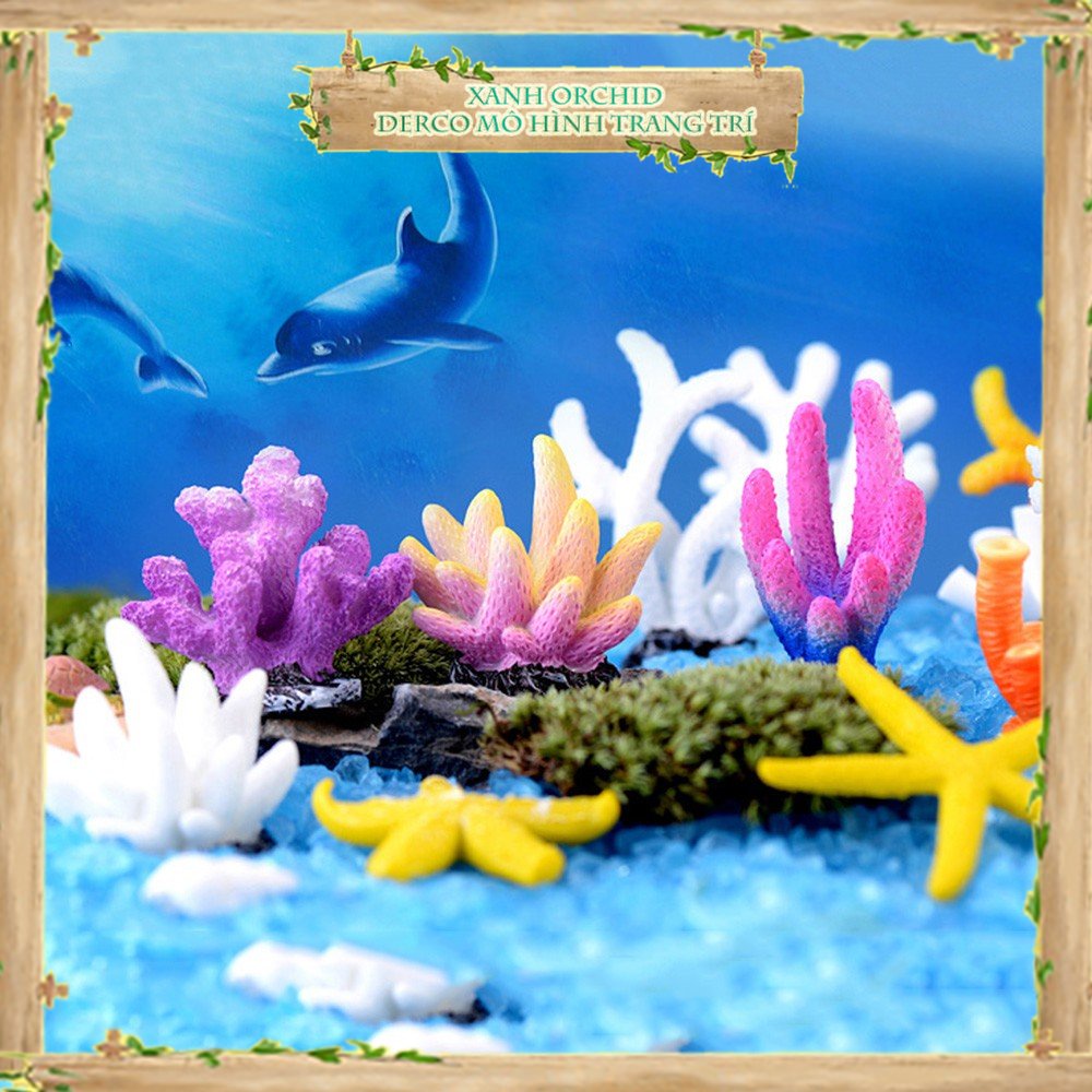 ​Mô Hình Tiểu Cảnh "San Hô, Sao Biển Mini" Trang Trí Sen Đá, Sân Vườn/ Chậu Cây, DYI, Terrarium