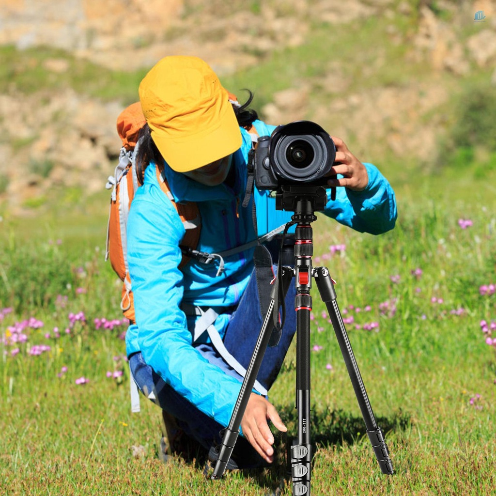 Giá Đỡ Ba Chân 2 Trong 1 Bằng Hợp Kim Nhôm Xoay 360 Độ Cho smartwatchinone Andoer 2 Trong 1° Dây Đầu Bóng Xoay 200cm Max. 200cm Có Thể Xoay Được Túi Đựng Máy Ảnh 5kg 5kg Cho Máy Ảnh Dslrs Camcorde