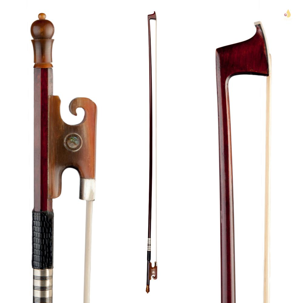 Cây Cảnh Vĩ Cầm Pernambuco Kích Thước 4 / 4 Đầy Đủ Kích Thước