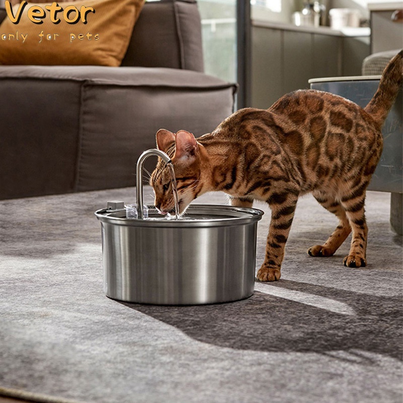 Vetor Máy Nước Uống Bán Trực Tiếp Dành Cho Thú Cưng Chó Mèo