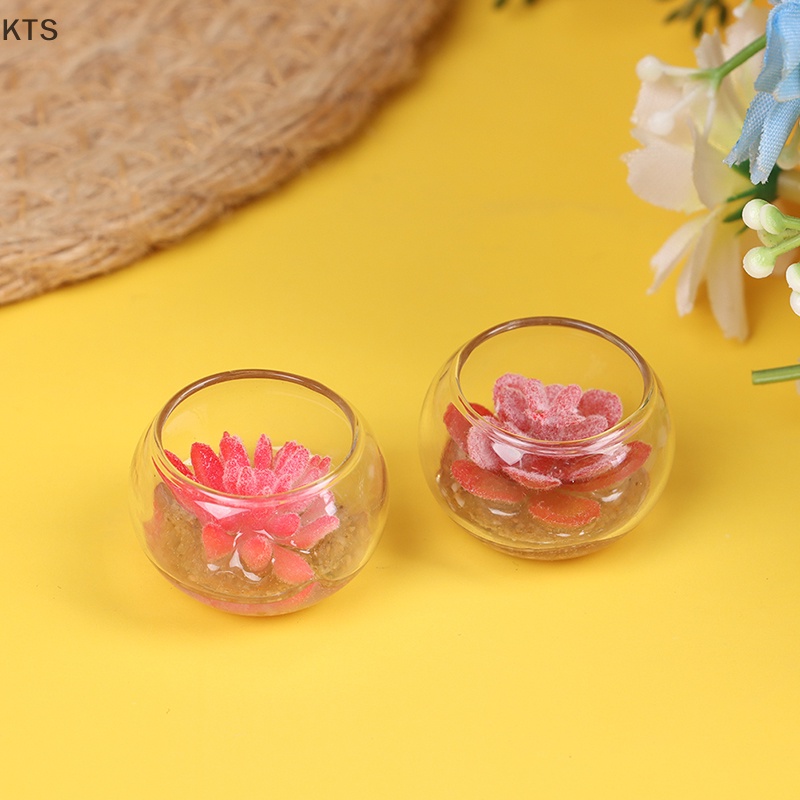 Mô Hình Chậu Cây Mini Trang Trí Nhà Búp Bê Tỉ Lệ 1: 12