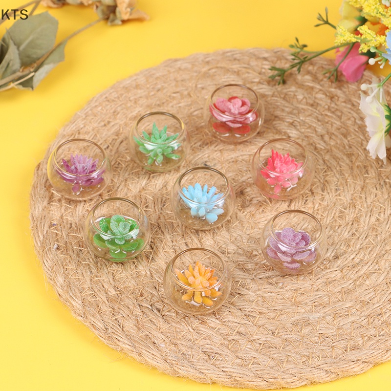 Mô Hình Chậu Cây Mini Trang Trí Nhà Búp Bê Tỉ Lệ 1: 12