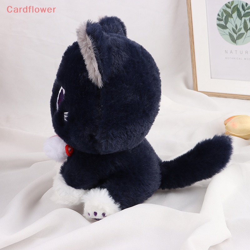 (MớI) Đồ Chơi GậY Gõ BằNg Lông Cho Thú Cưng 25 / 35cm