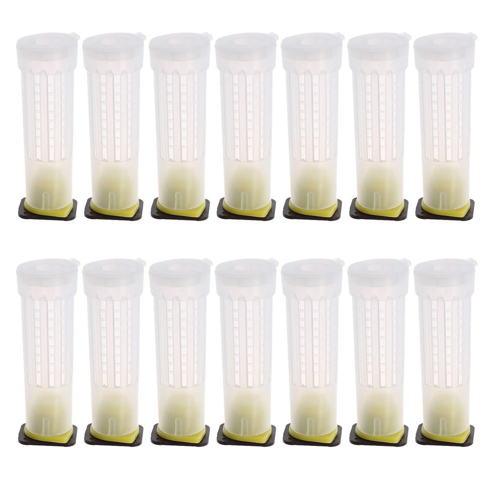 Set 20 Giá Đỡ Cốc Nuôi Ong Bằng Nhựa