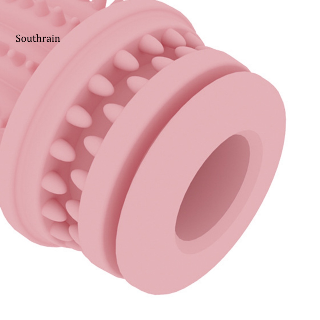 Đồ Chơi Nhai Gặm Hình Cây Xương Rồng Vui Nhộn Cho Thú Cưng