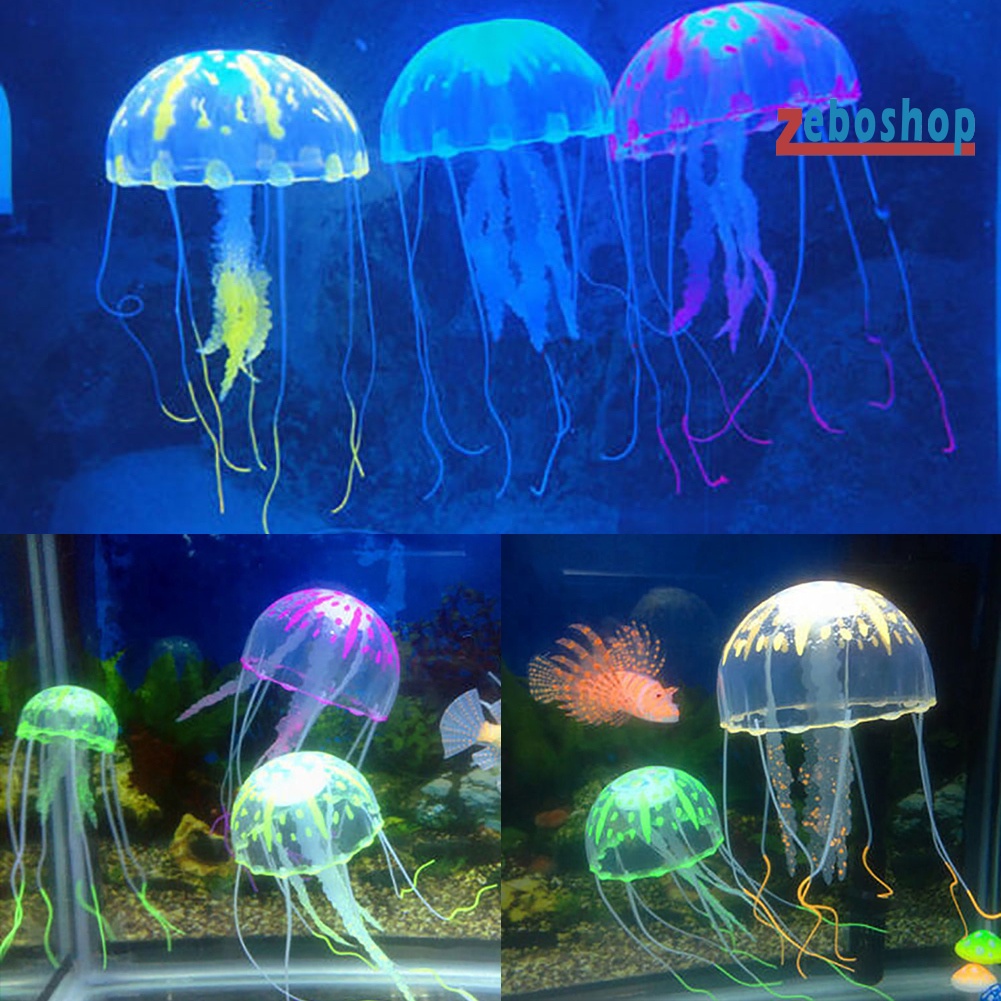 Sứa Giả Phát Quang Trang Trí Bể Cá