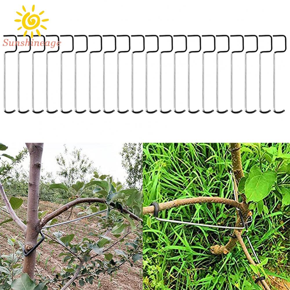 Dụng Cụ Hỗ Trợ Trồng Cây Ngang Bằng Thép Không Gỉ