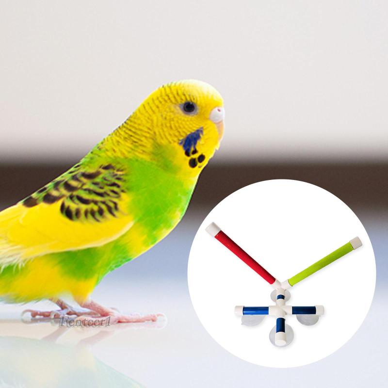 Giá Đỡ Đứng Đồ Chơi Fenteer1 Có Giác Hút Gắn Tường Dành Cho Chim Vẹt