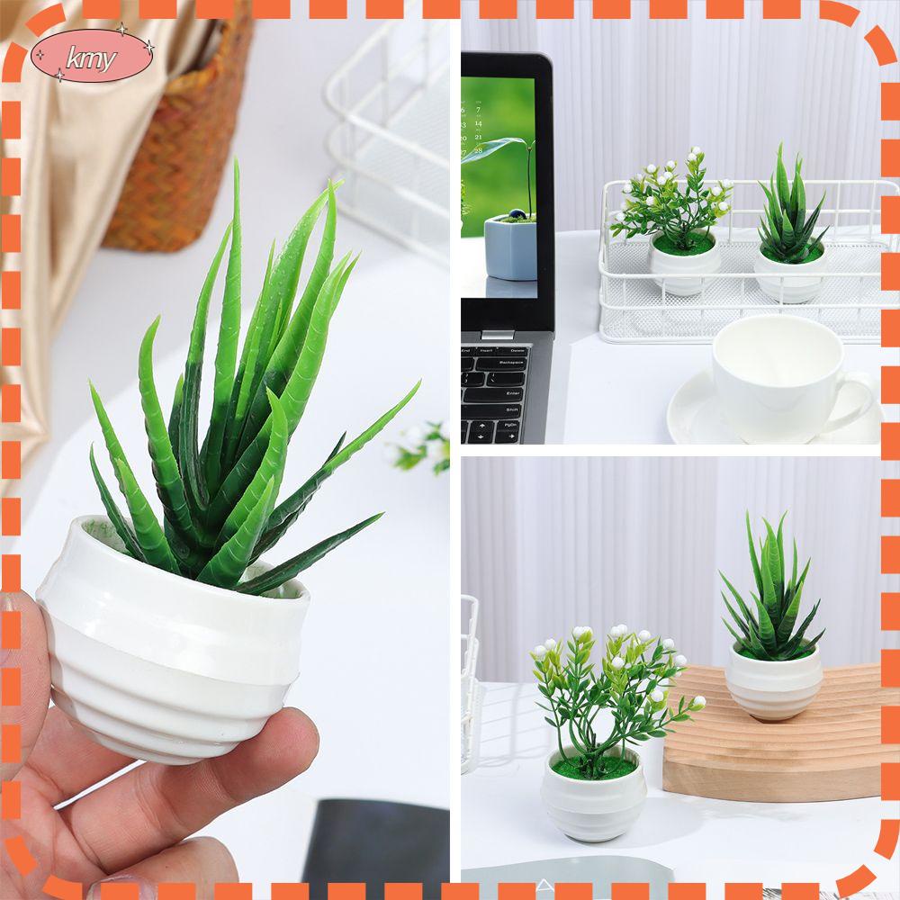 Chậu cây bonsai giả mini dùng trang trí bàn làm việc