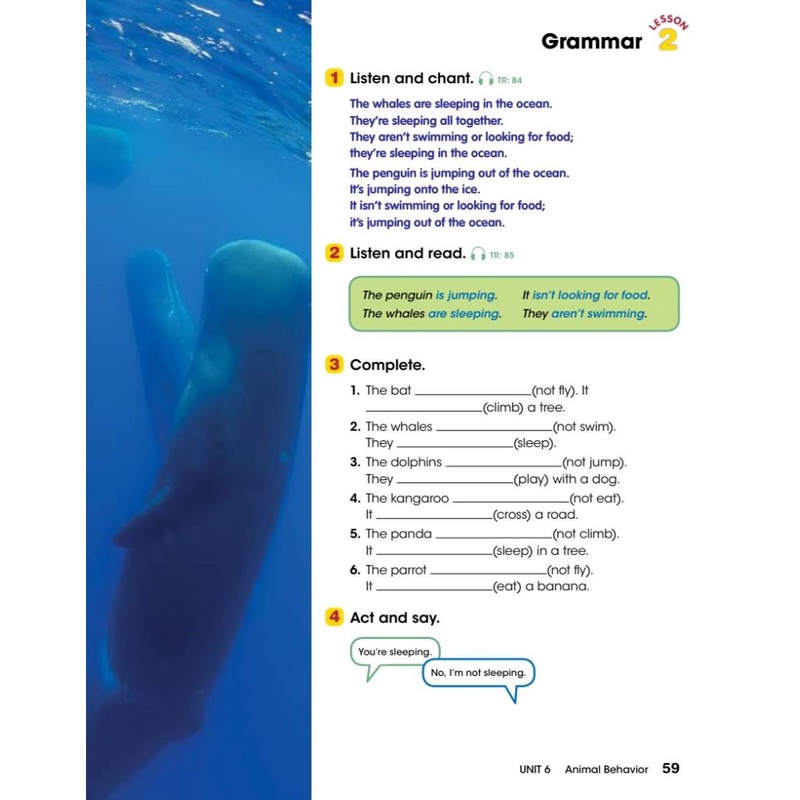 Look 3 Student's Book )