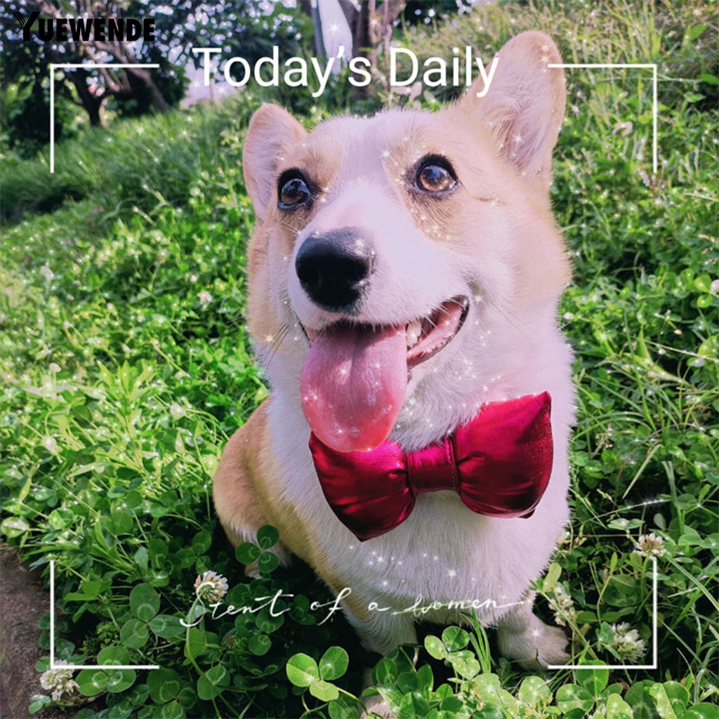 Yq.e Phụ Kiện Vòng Cổ Thắt Nơ Đáng Yêu Trọng Lượng Nhẹ Cho Thú Cưng Chụp Ảnh