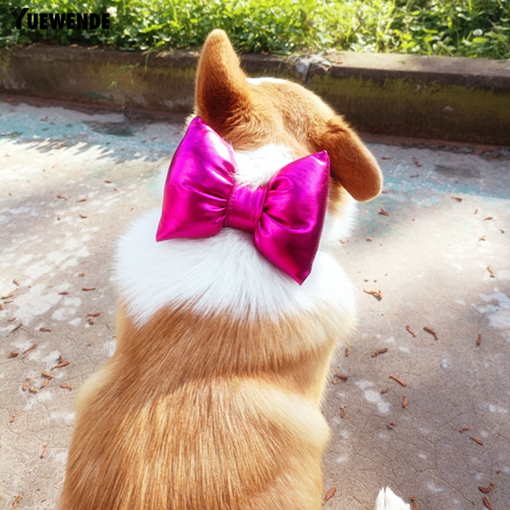 Yq.e Phụ Kiện Vòng Cổ Thắt Nơ Đáng Yêu Trọng Lượng Nhẹ Cho Thú Cưng Chụp Ảnh