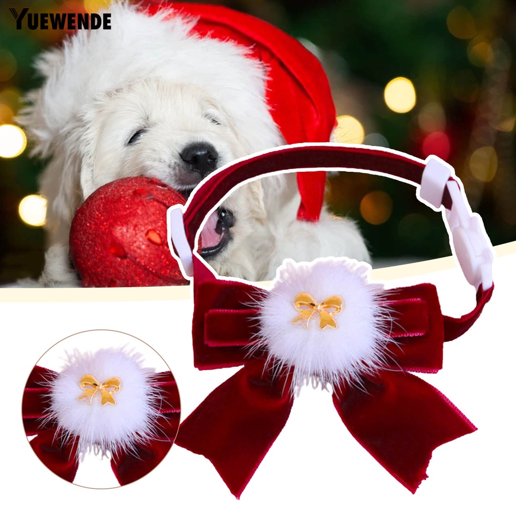 Vòng Cổ Gắn Quả Bông Chống Sặc Cho Thú Cưng