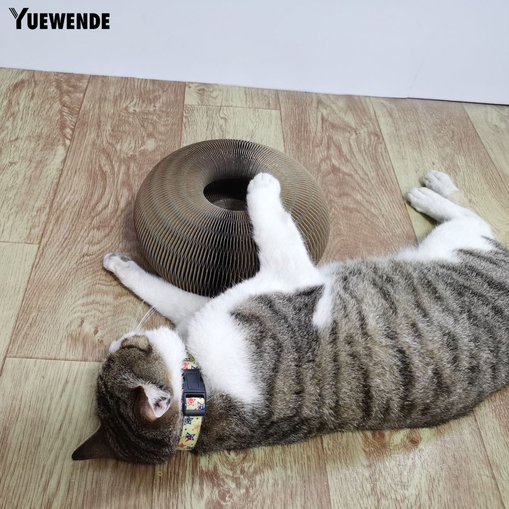 1 Bộ Khung Dây Leo Trèo Chống Mòn Giảm Căng Thẳng Cho Mèo