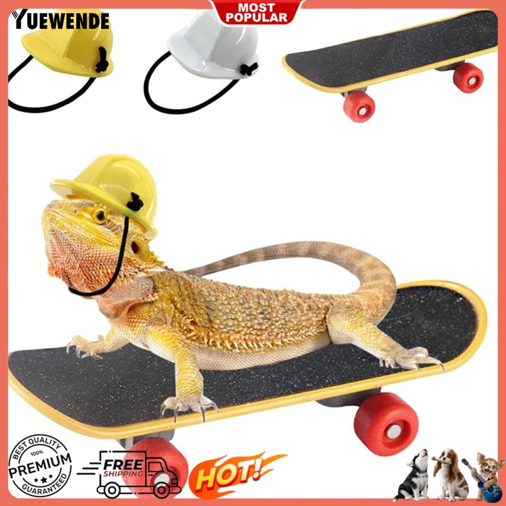 Yq.e 1 Set Mũ Bảo Hiểm Thằn Lằn Mini Co Giãn Thoải Mái Chắc Chắn Để Tập Thể Dục Giảm Căng Thẳng Vui Nhộn Dễ Thương