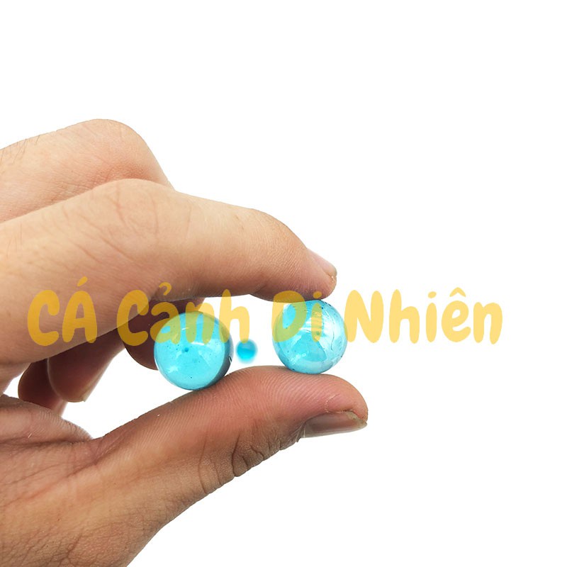 Viên bi ve XANH BIỂN TRONG SUỐT 200 gram  size 1.6 cm trang trí hồ cá