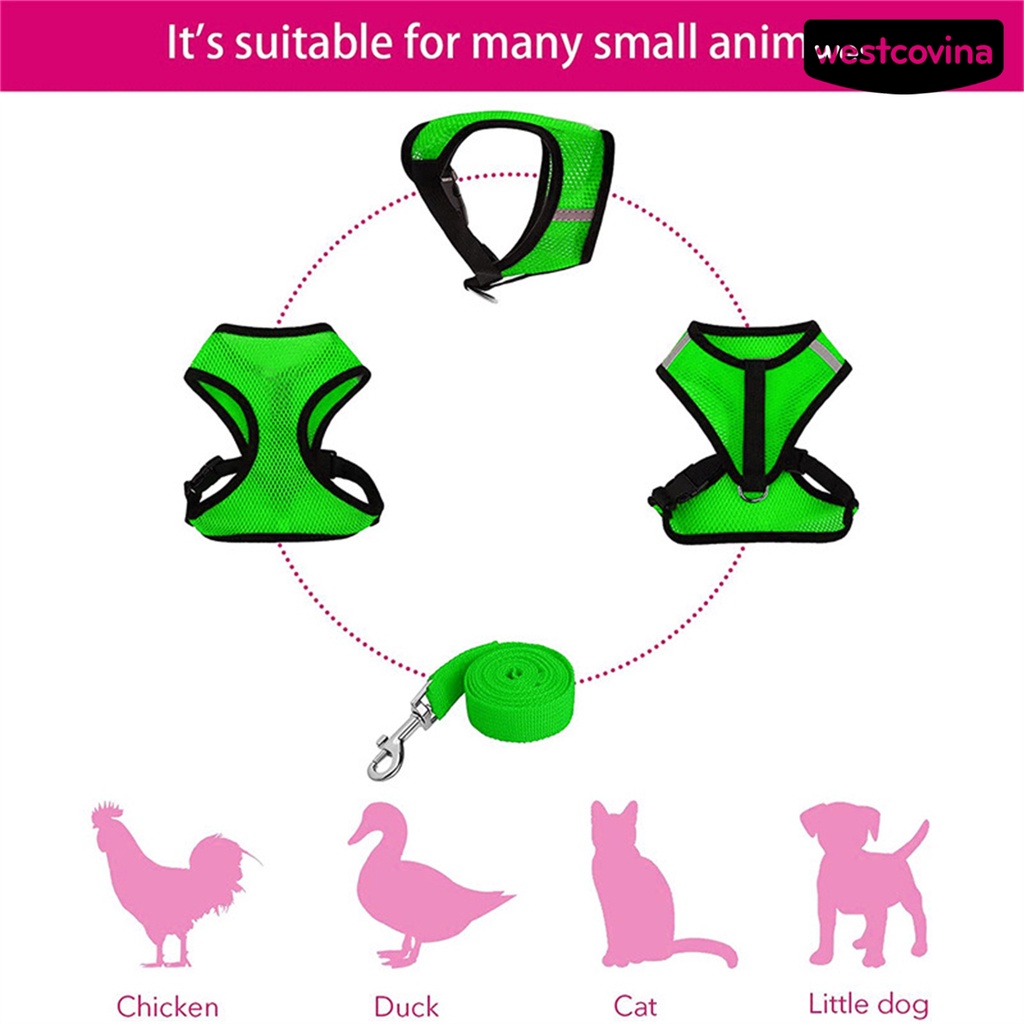 [COD]♞1 Bộ Dây Đai Dắt Gà / Vịt Thoáng Khí Tùy Chỉnh Tiện Dụng Cho Sân Vườn