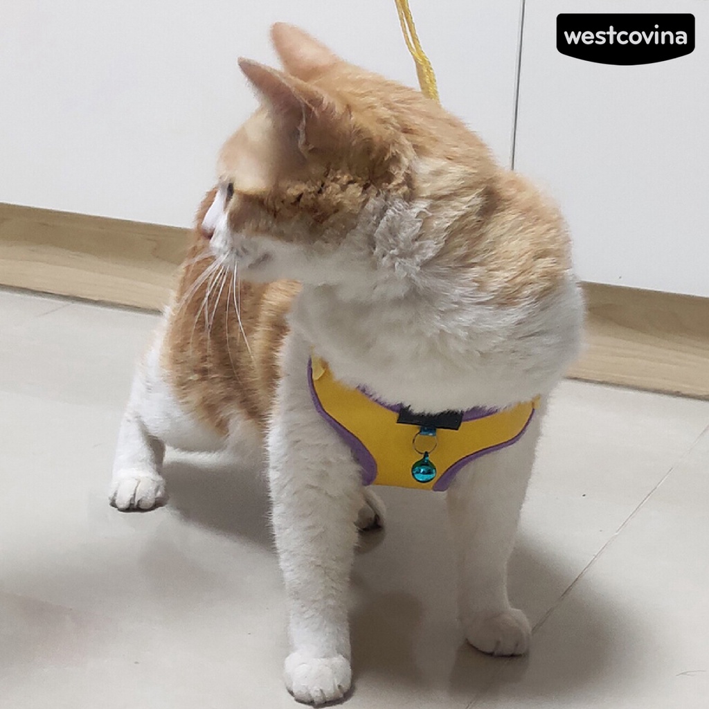 [COD]♞Dây Dắt Thú Cưng Đi Dạo Thiết Kế Thoáng Khí Tiện Dụng