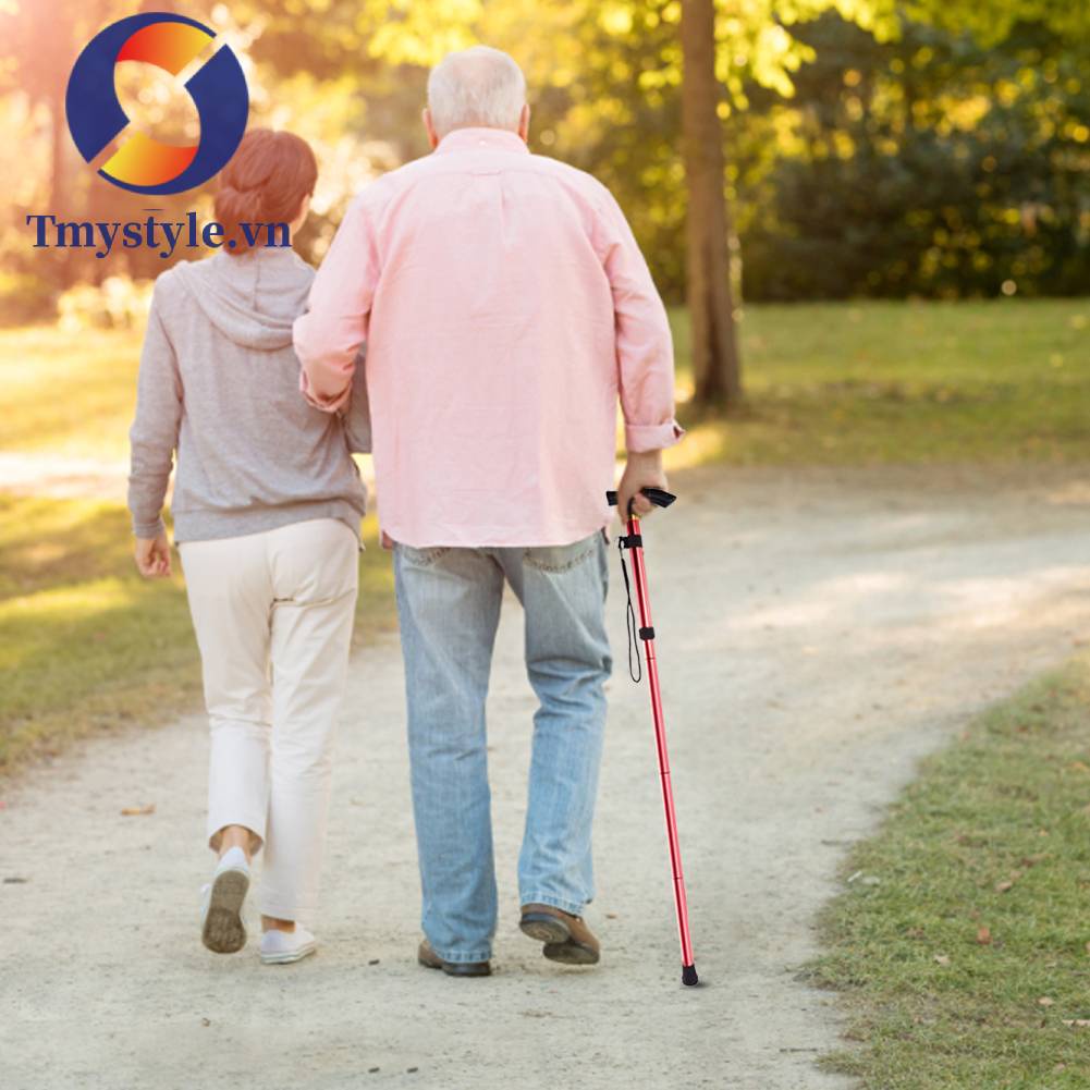 Gậy Leo Núi 5 Khớp Chống Trượt Tùy Chỉnh Tiện Dụng Cho Người Lớn Tuổi