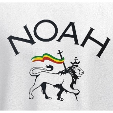 Áo Thun Cotton Tay Ngắn Plus Size Unisex