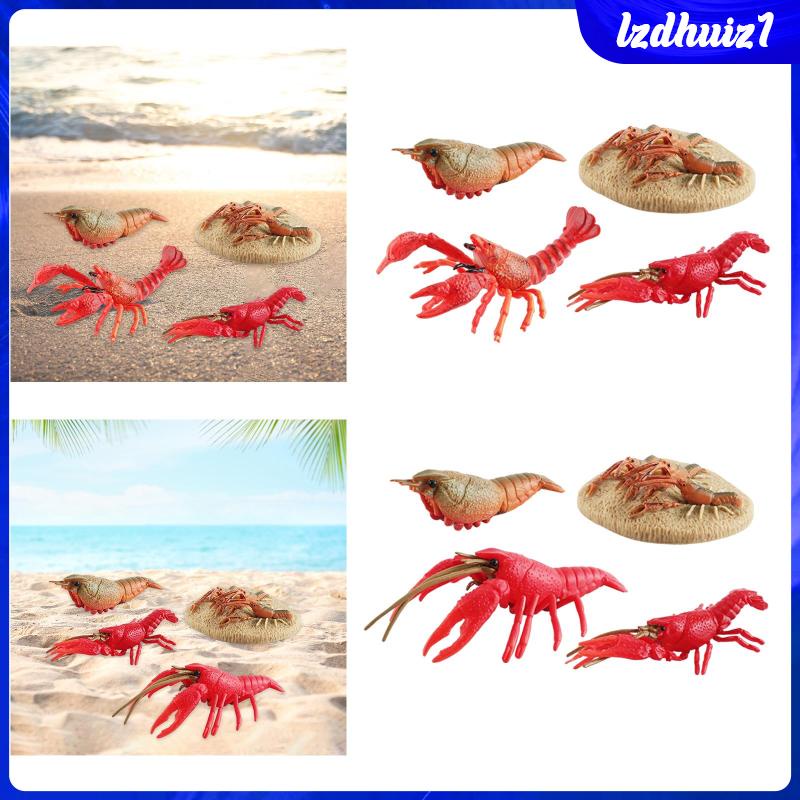 Đồ Chơi Tôm Hùm Biển Cho Bé