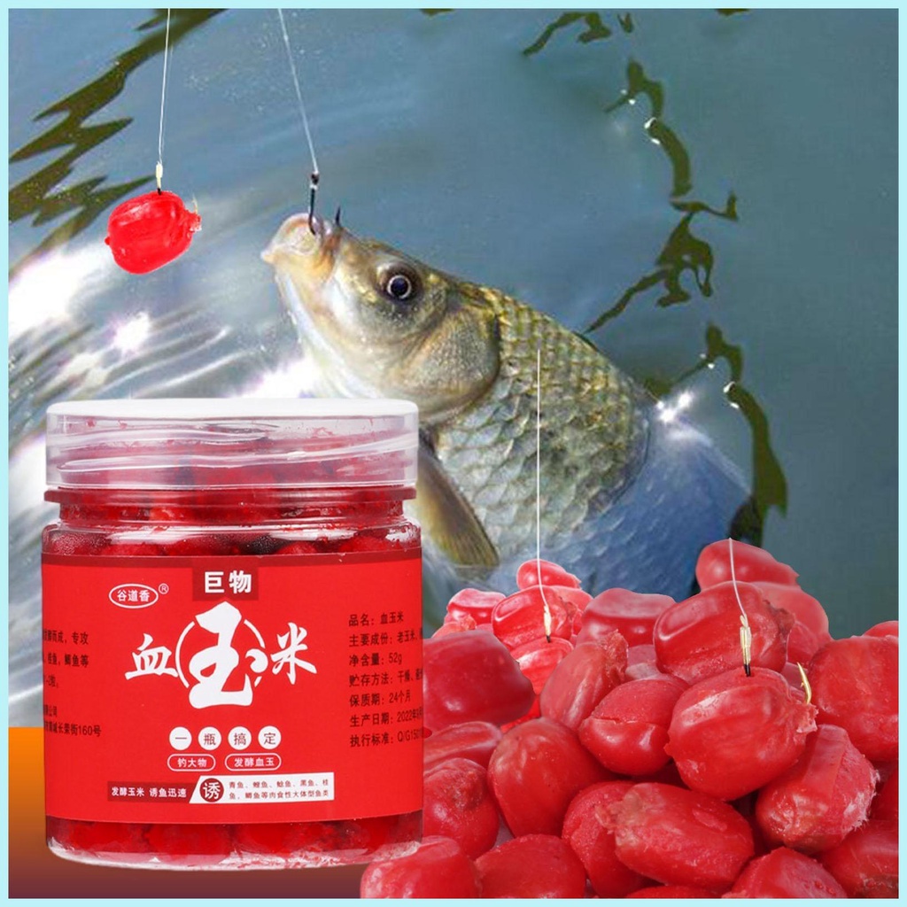 Mồi Câu Cá Chép Chép Mùi Ngô Tự Nhiên Có Mùi Thơm Cho Herring Trout Snakehead Tilapia hsgdyvn