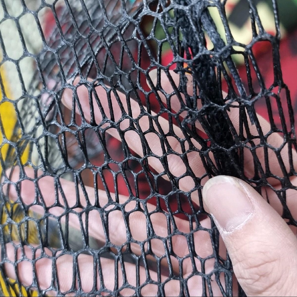 Lưới gắn mặt vợt câu cá săn hàng có tráng cao su