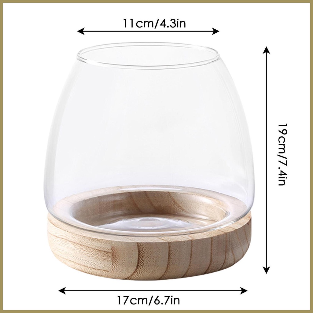 Bình Hoa Thủy Canh Trong Suốt Có Đế Sinh Thái Trang Trí Bể Cá paca3vn