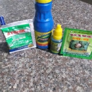 COMBO 4 CHẾ PHẨM CHĂM SÓC HOA LAN ( VIÊN THỐI NHŨN - ANTONIK - HÙNG NGUYỄN - B1 )